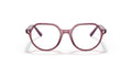 RAYBAN RY9095V JUNIOR THALIA 3898 47 KIDS  FRAME