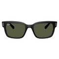 Rayban 2190 Sunglass