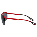 Rayban 4302 Sunglass
