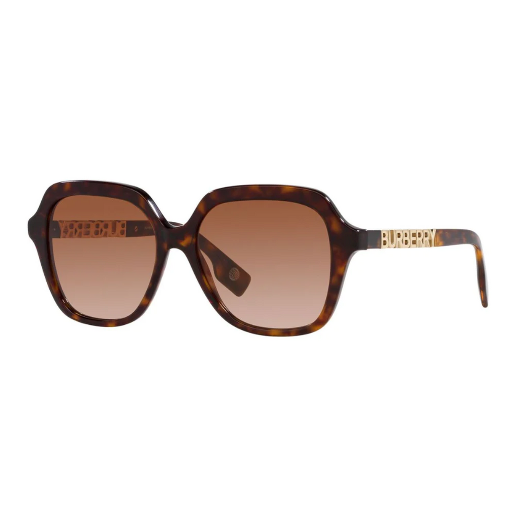 Burberry 4389 3002/13 Sunglass