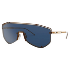 Emporio Armani 2072 325580 Sunglass