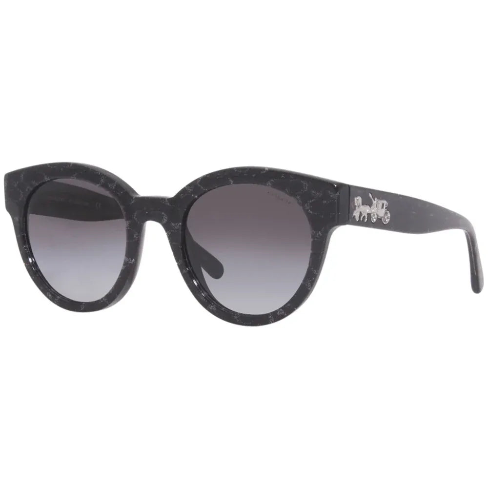 Coach 8265 Sunglass