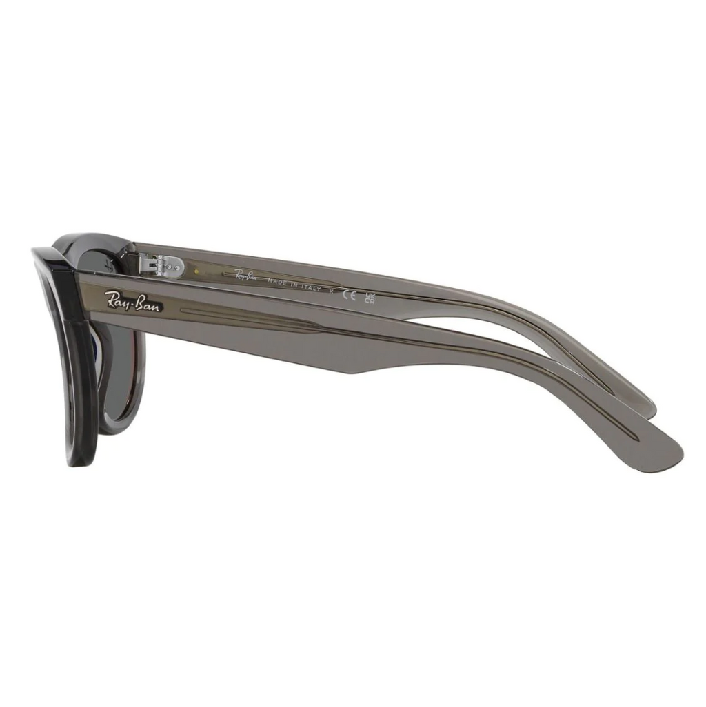 Rayban WAYFARER REVERSE Sunglass R0502