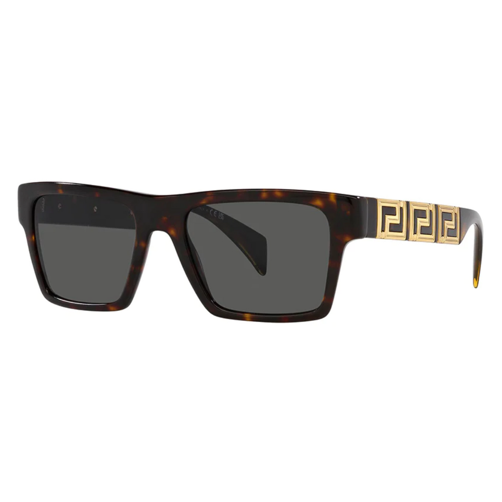 Versace 4445 108/87 54 Sunglass