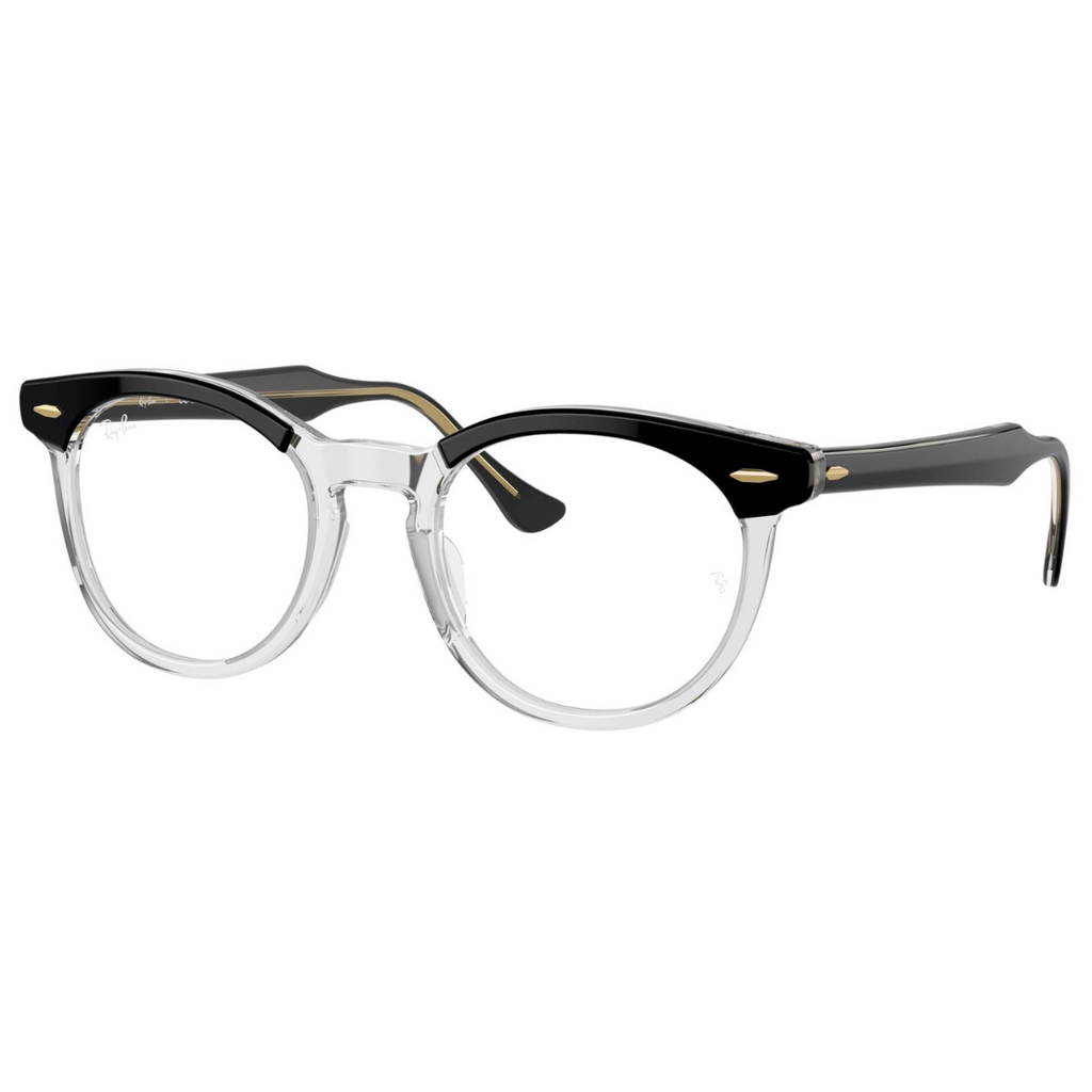 Rayban 5598 Frame