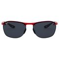 Rayban 4302 Sunglass