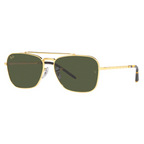 Rayban 3636 Sunglass