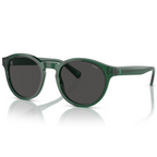 Ralph Lauren Polo Sunglass PH4192F 5034/80