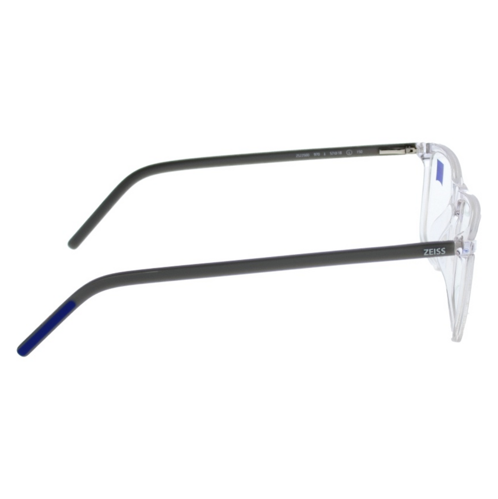 Zeiss Frame 22500 970