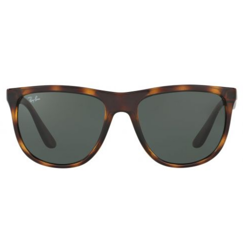 Rayban Sunglass RB4349I 674813