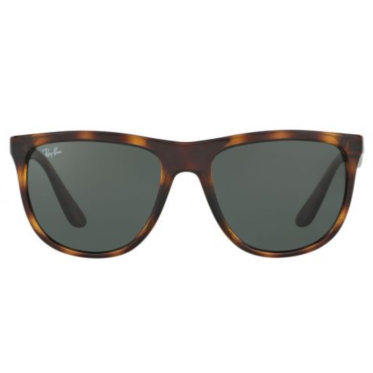 Rayban Sunglass RB4349I 674813