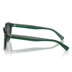 Ralph Lauren Polo Sunglass PH4192F 5034/80