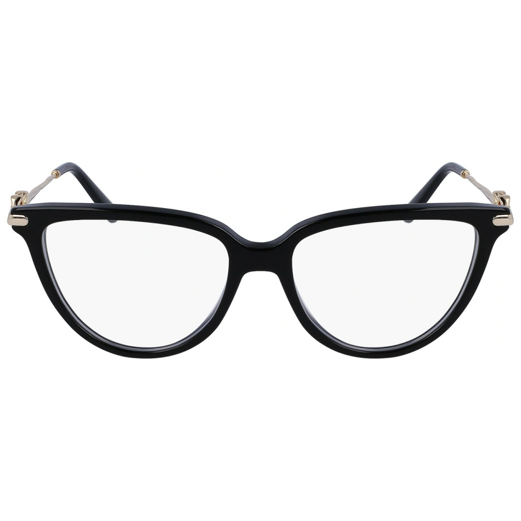 Salvatore Ferragamo SF2946 Frame