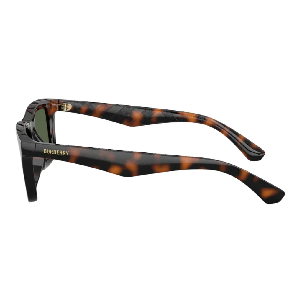 Burberry Sunglass B 4475-U 3002/9A
