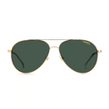 Carrera Sunglass CA 2031TS J5G