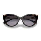 Emporio Armani Clip-On Sunglass EA 4213U 5017/1W