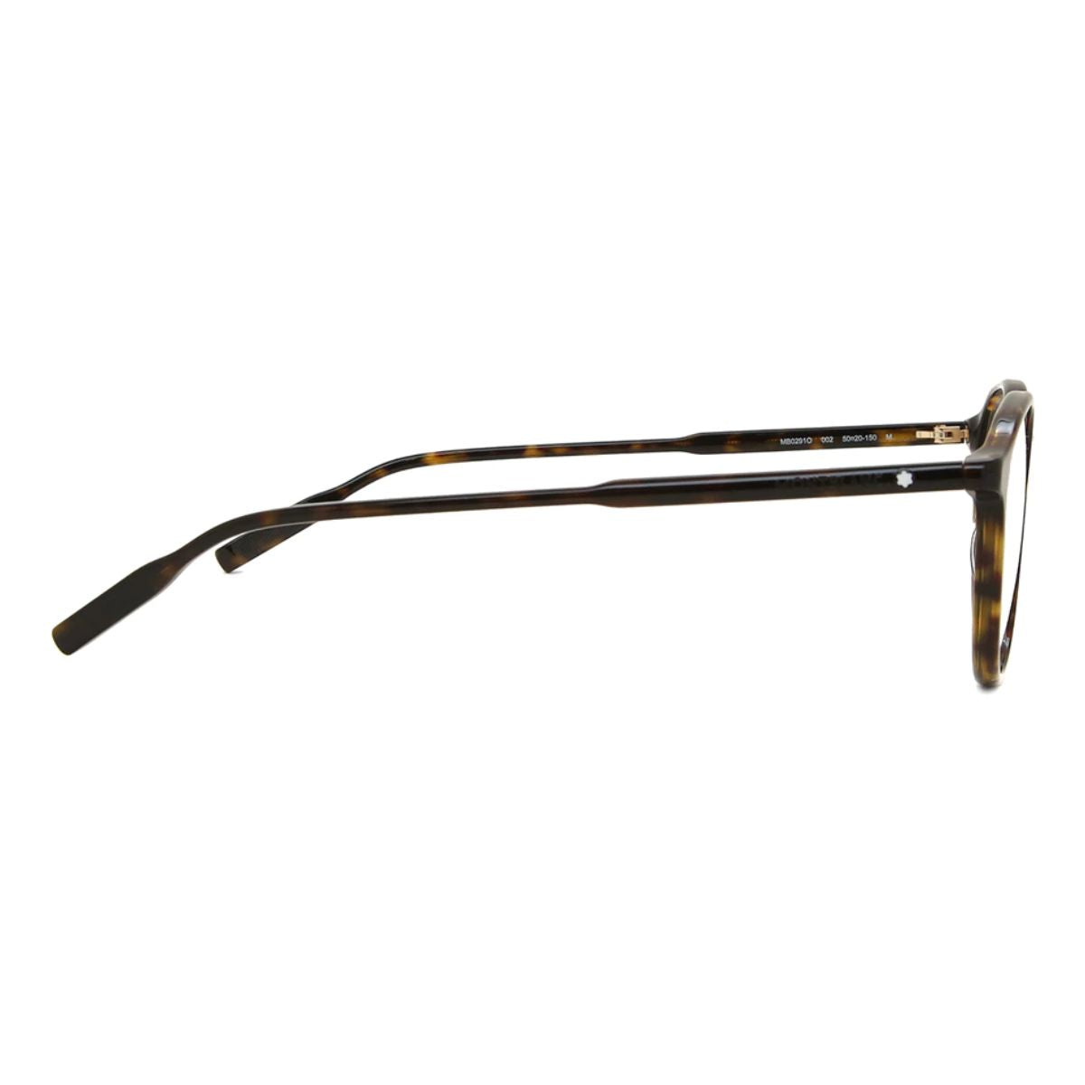 Mont Blanc Frame MB0291O 002