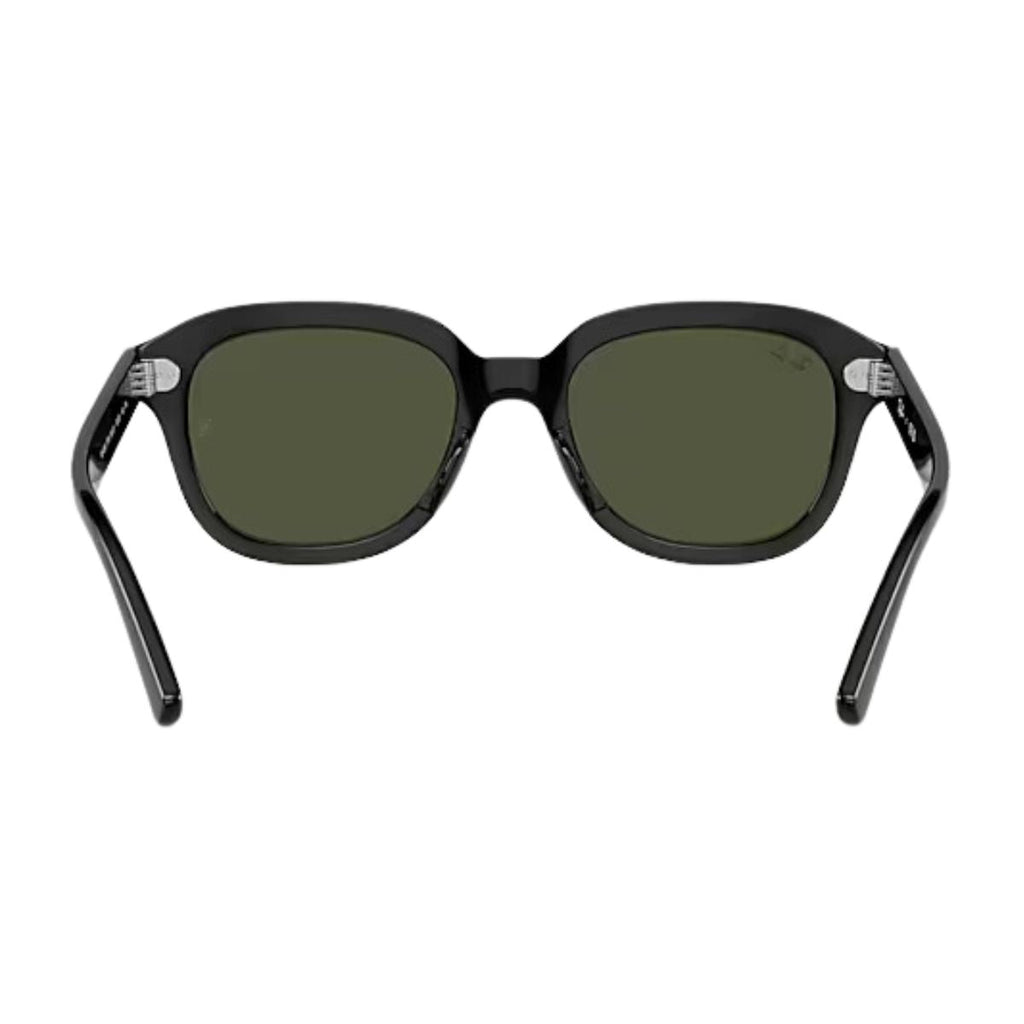 RayBan Sunglass ERIK RB 4398 901/31