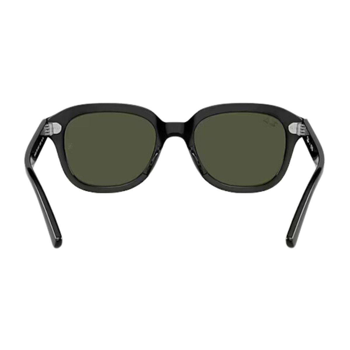 RayBan Sunglass ERIK RB 4398 901/31