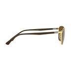 Rayban 3684 001/AN Sunglass