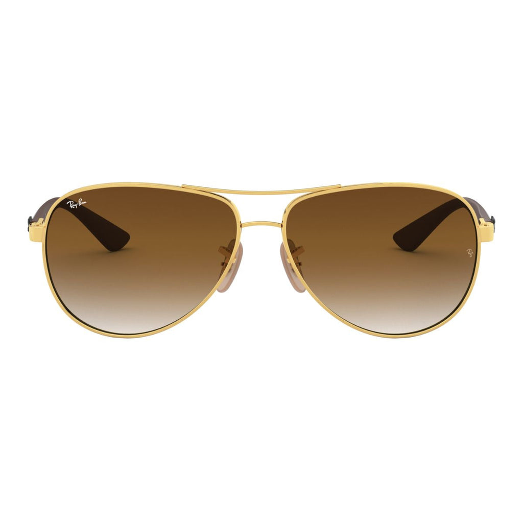 Rayban Sunglass RB 8313 001/51