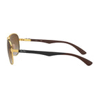 Rayban Sunglass RB 8313 001/51