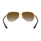 Rayban Sunglass RB 8313 001/51