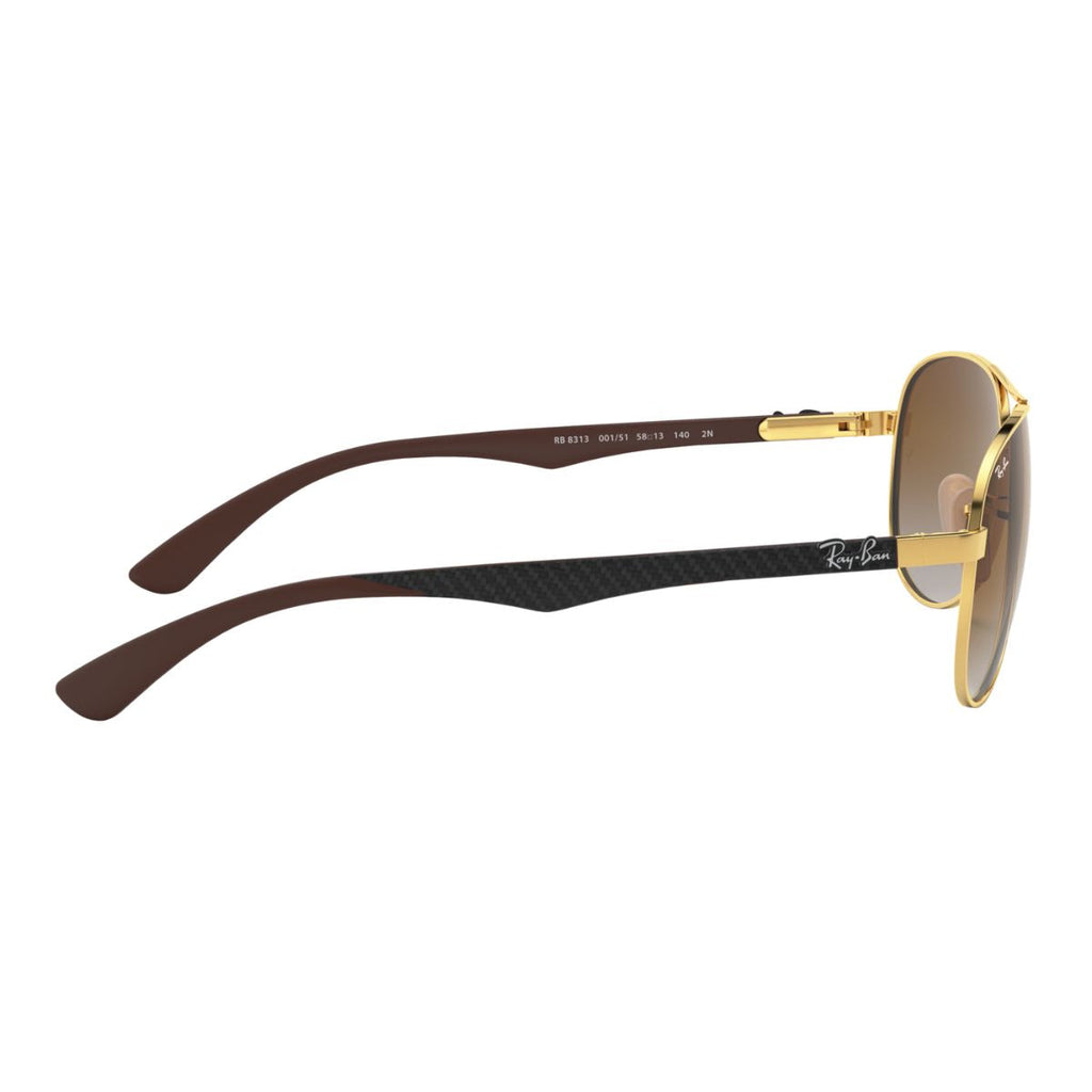 Rayban Sunglass RB 8313 001/51