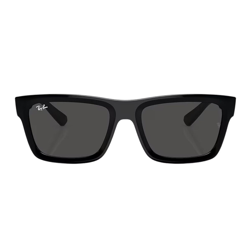 Rayban WARREN Sunglass RB 4396 6677/87