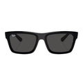 Rayban WARREN Sunglass RB 4396 6677/87