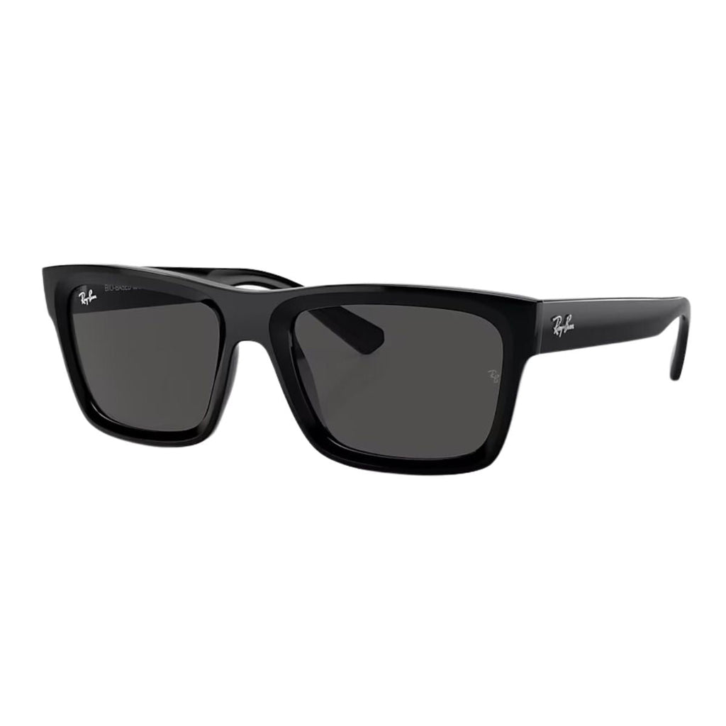 Rayban WARREN Sunglass RB 4396 6677/87