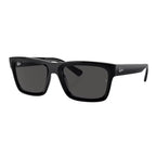 Rayban WARREN Sunglass RB 4396 6677/87