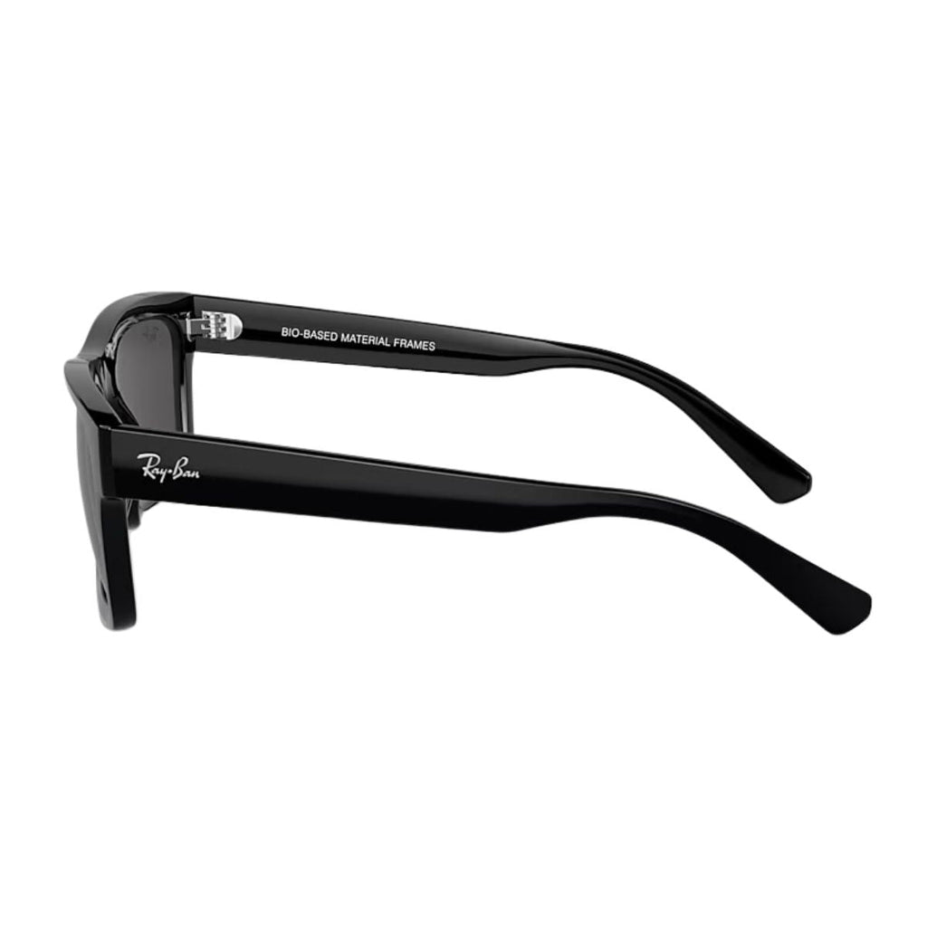 Rayban WARREN Sunglass RB 4396 6677/87