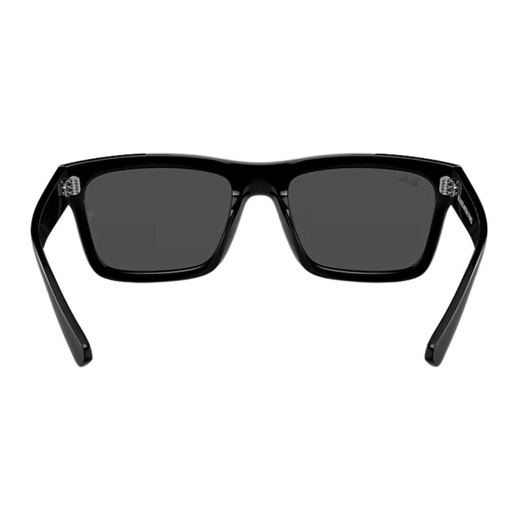 Rayban WARREN Sunglass RB 4396 6677/87
