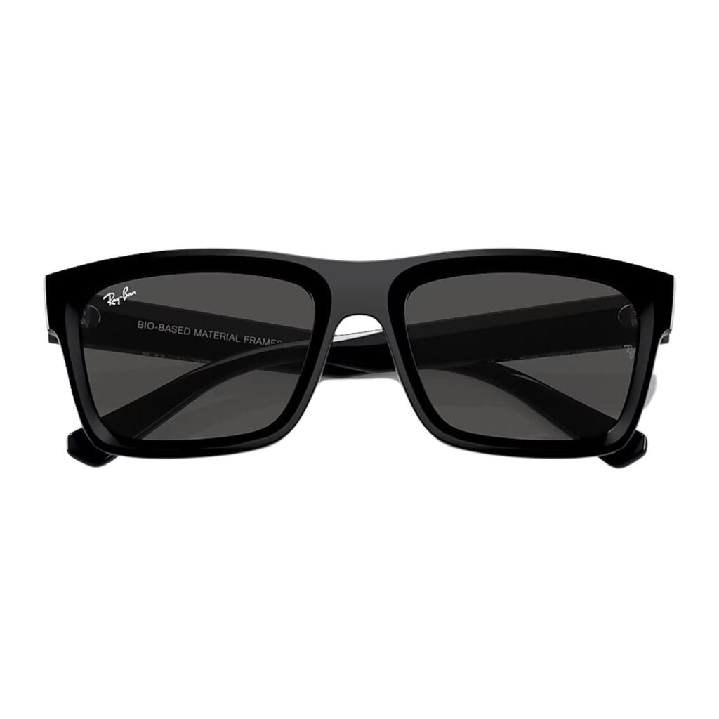 Rayban WARREN Sunglass RB 4396 6677/87