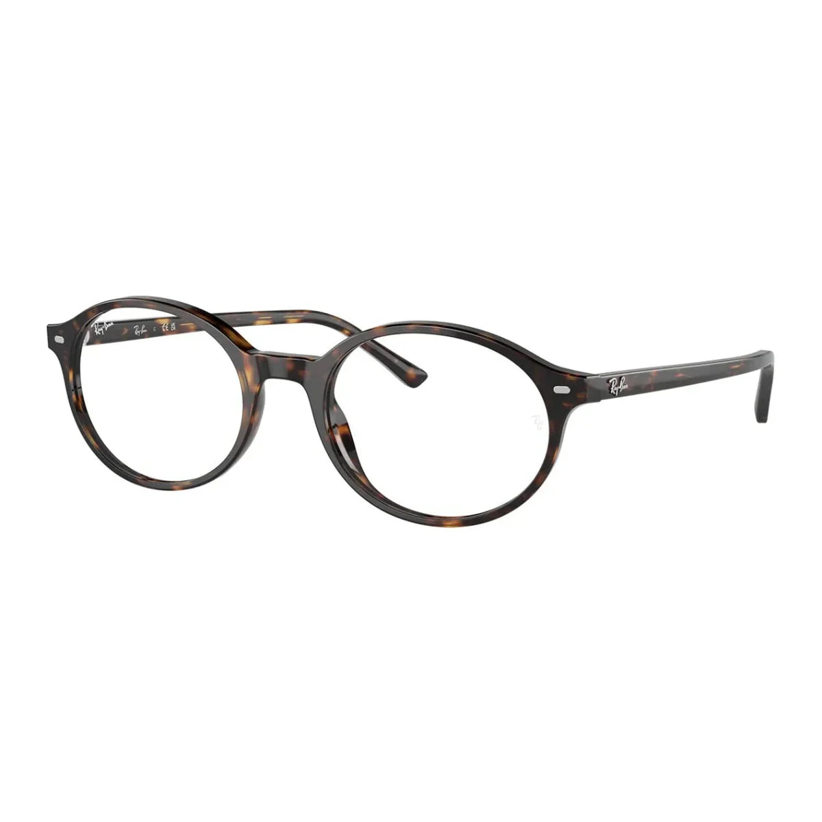 Rayban German Frame RB 5429 2012