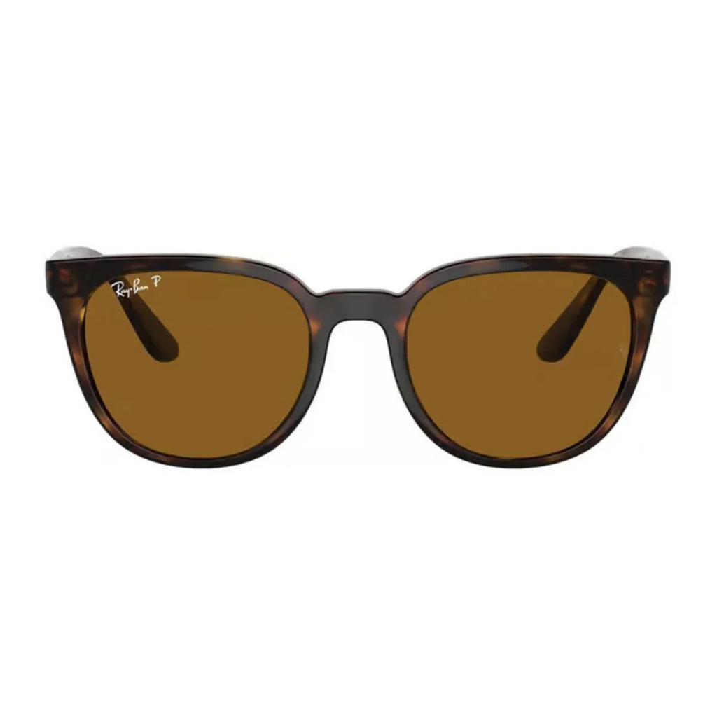 Rayban Sunglass RB 4381-I 710/83