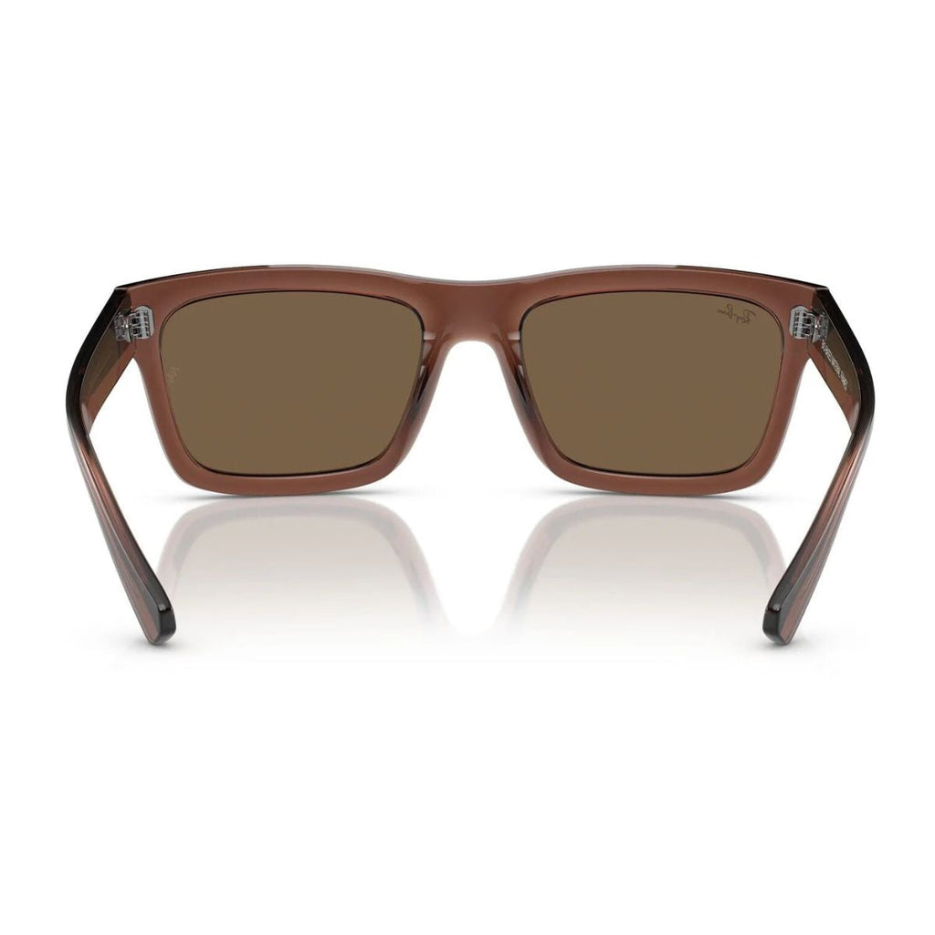 Rayban Warren Sunglass RB 4396 6678/73