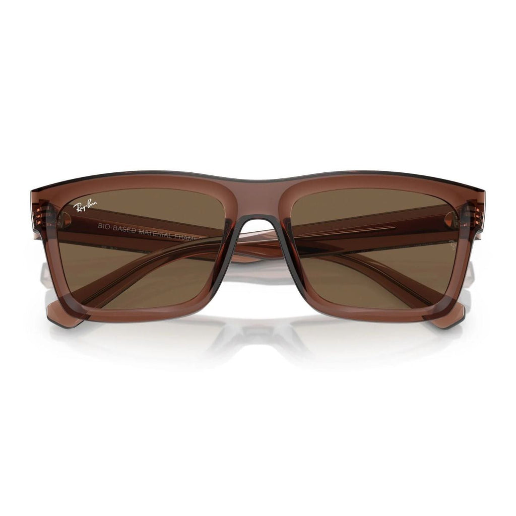 Rayban Warren Sunglass RB 4396 6678/73
