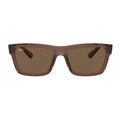 Rayban Warren Sunglass RB 4396 6678/73