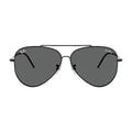 RayBan Lenny Kravitz X Aviator Sunglass RB R0101S 002/GR