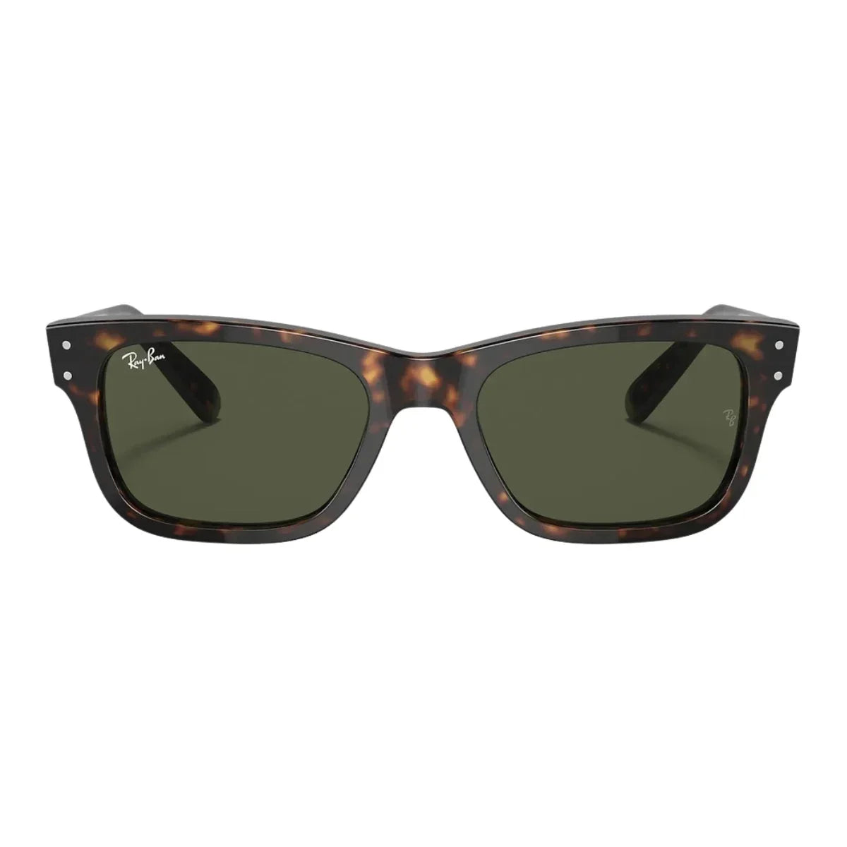 Rayban Mr BurBank Sunglass RB2283 902/31