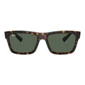 Rayban Warren 4396 1359/71 Sunglass