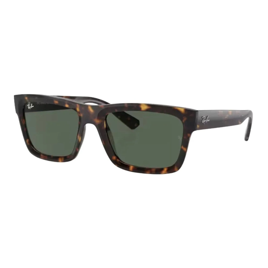 Rayban Warren 4396 1359/71 Sunglass