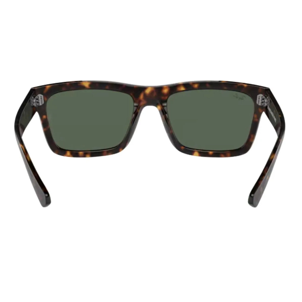 Rayban Warren 4396 1359/71 Sunglass