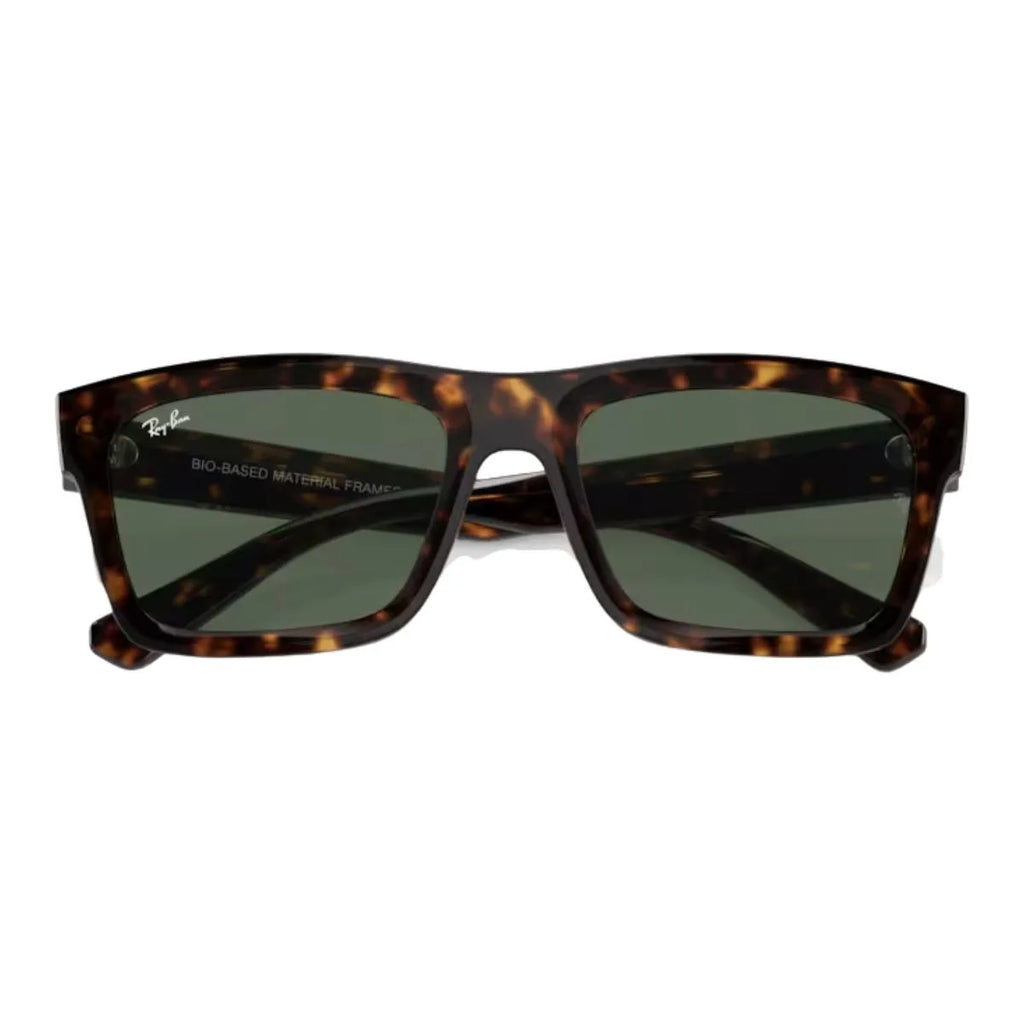 Rayban Warren 4396 1359/71 Sunglass