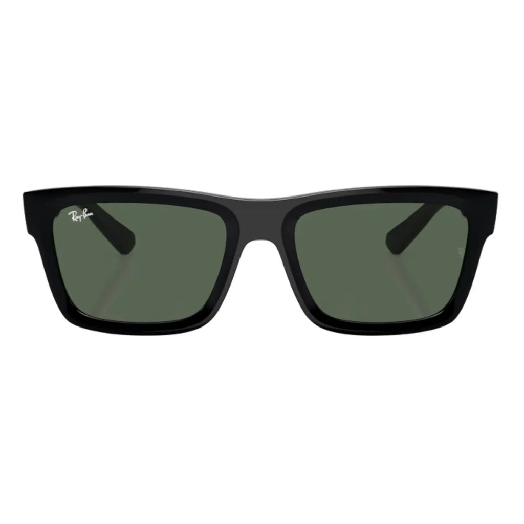 Rayban Warren Sunglass 4396 6677/71
