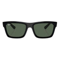 Rayban Warren Sunglass 4396 6677/71