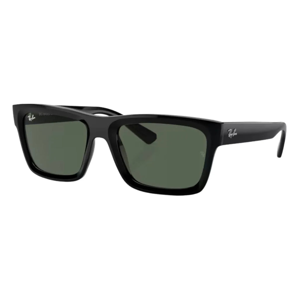 Rayban Warren Sunglass 4396 6677/71