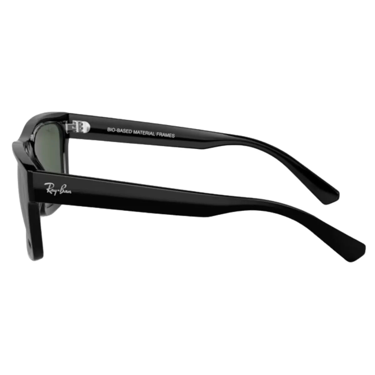 Rayban Warren Sunglass 4396 6677/71